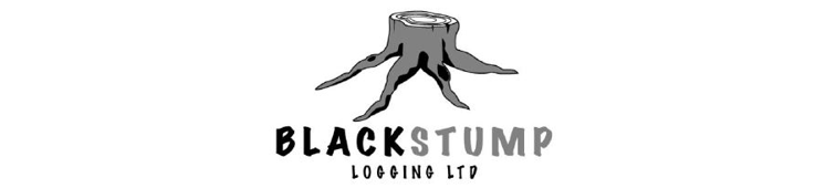 Sponsor
